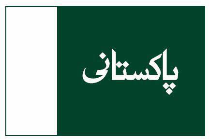 GM_Mughal786's tweet photo. #PSPFlag
An other break in the wall of #MQM https://t.co/RTJKs8iyim