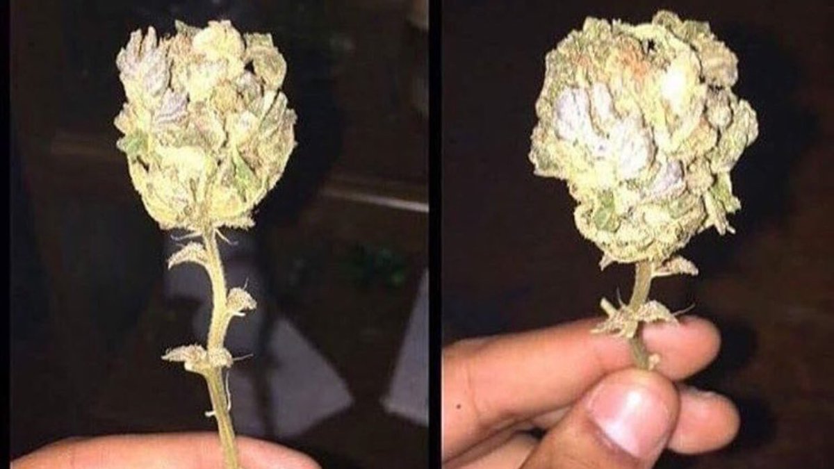 BudPictures's tweet image. What your girl really wants for Valentine's Day