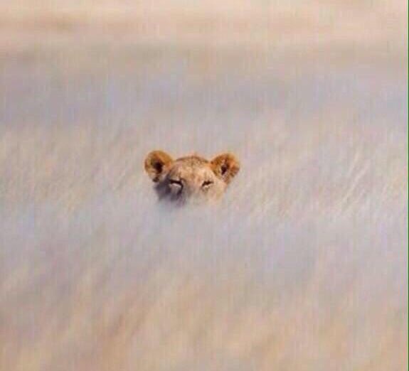 Demek ilk senen ve evde kalacaksın öyle mii @bthnks