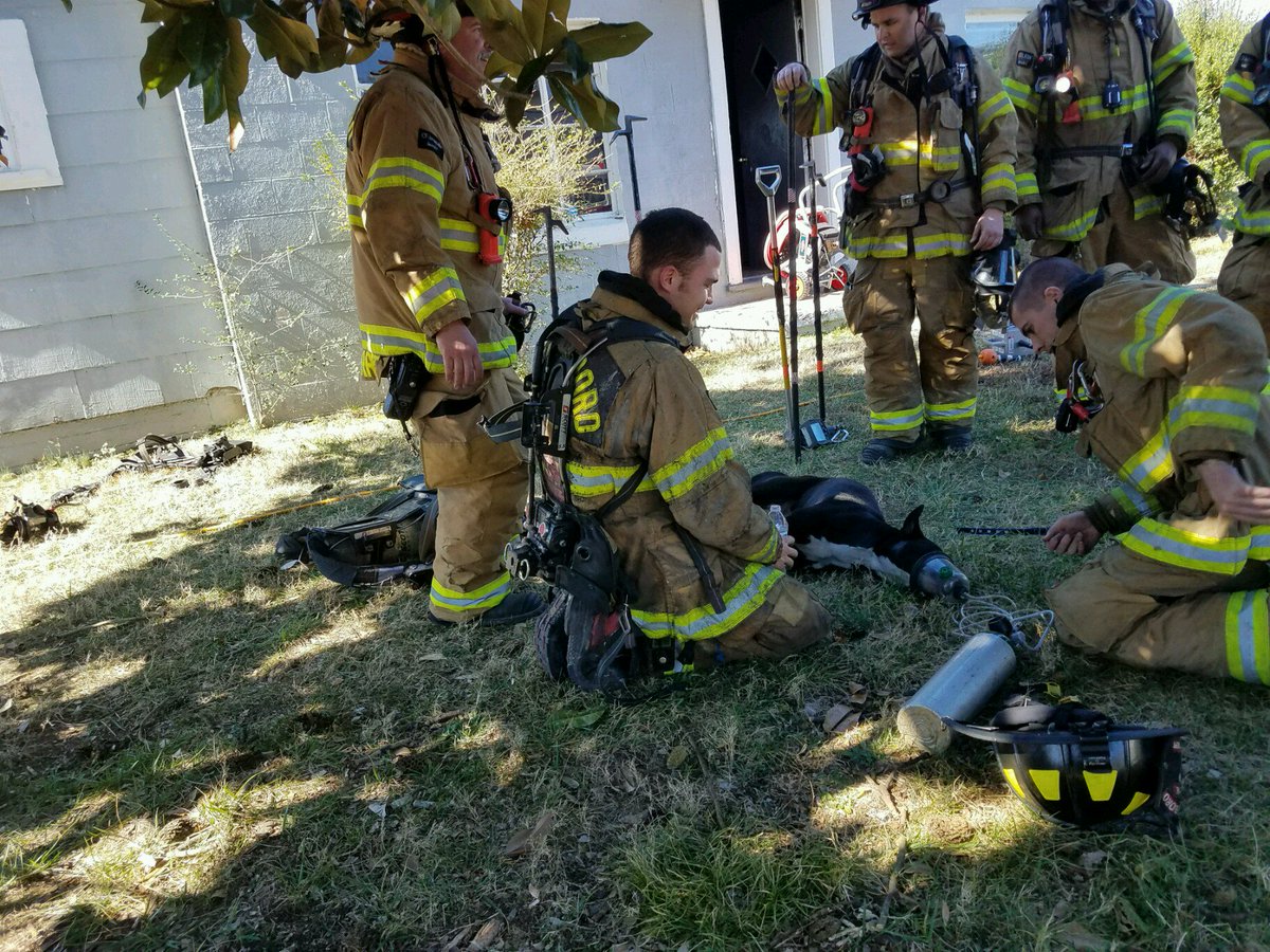 GSOFireDept's tweet photo. @GSOFireDept rescues dog from a house fire on Camel Street https://t.co/vLH7yY3rFG