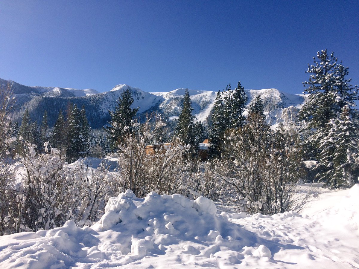 MattHLC's tweet photo. Mammoth Mountain 🗻❄️ https://t.co/ys5mAxQtcH