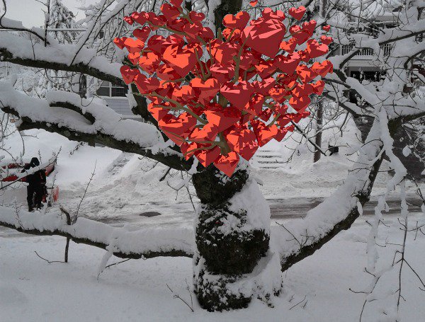 Besides the snow, there are a lot of red #hot hearts around in #Massachusetts. Happy Saint #Valentine!