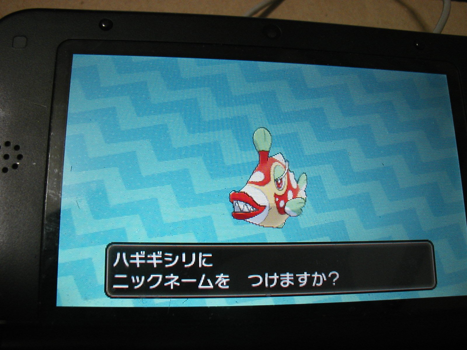 しんじさんのツイート グライオンを作るために するどいキバ集めした するどいツメと同じく 野性ポケモンしか持っていないらしい 手持ち６匹がすべてするどいキバをゲットして そして迎えた緊張の瞬間 そして 体力ｍａｘからタイマーボールであっさりゲット