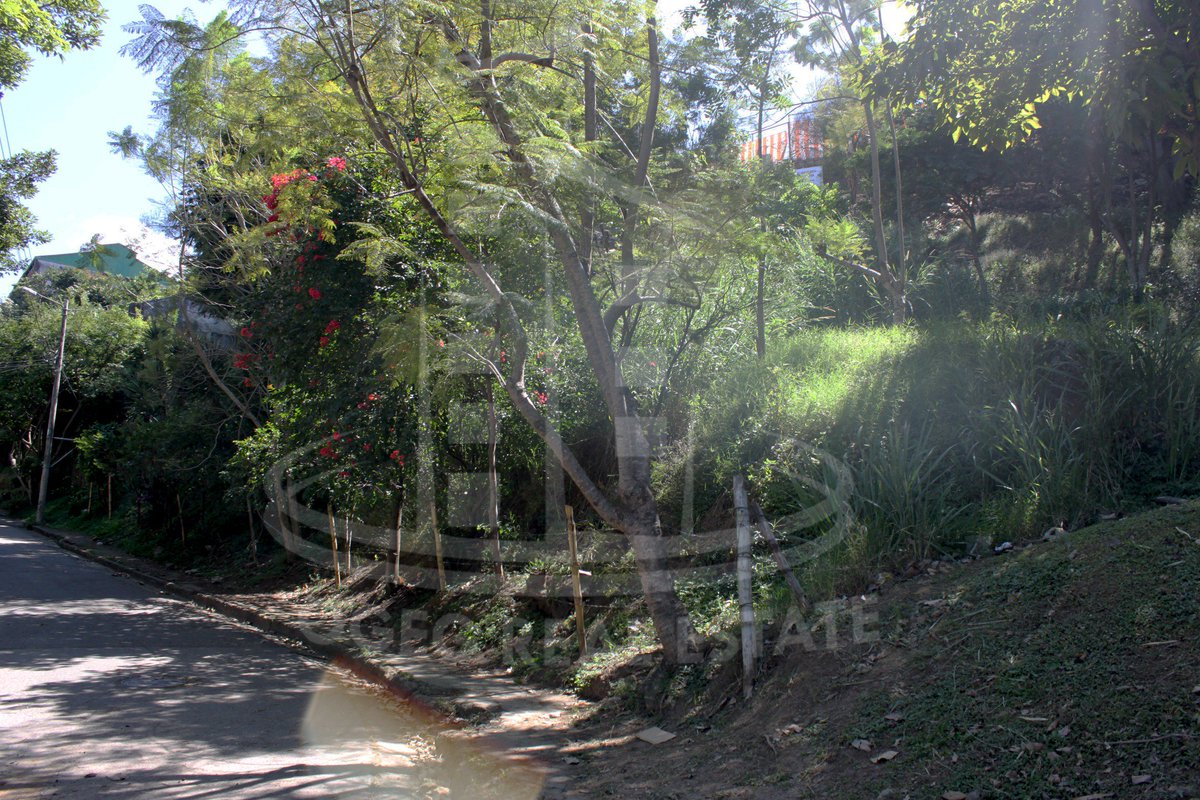 OgegReal's tweet photo. SE VENDE LOTE, CON PROYECTO DE VIVIENDA AVANZADO. 
Frente a polideportivo de Aranjuez.
Más info: al 6143-5787 / 2430-2225 omarejcr@gmail.com https://t.co/bxmzqxT1SV