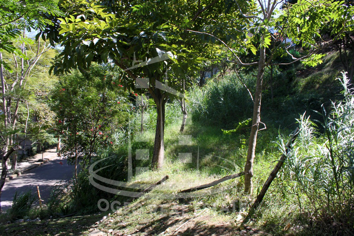 OgegReal's tweet photo. SE VENDE LOTE, CON PROYECTO DE VIVIENDA AVANZADO. 
Frente a polideportivo de Aranjuez.
Más info: al 6143-5787 / 2430-2225 omarejcr@gmail.com https://t.co/bxmzqxT1SV