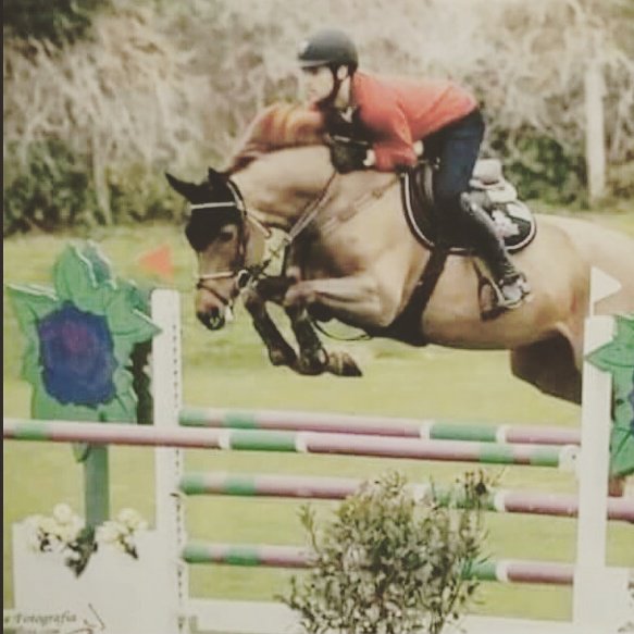 Great clinic today with Tom Whittaker, lots of happy customers 😀 #showjumping #britishshowjumping #equine #horse #whittaker