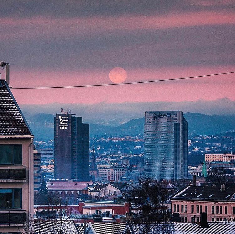 VisitOSLO tweet media