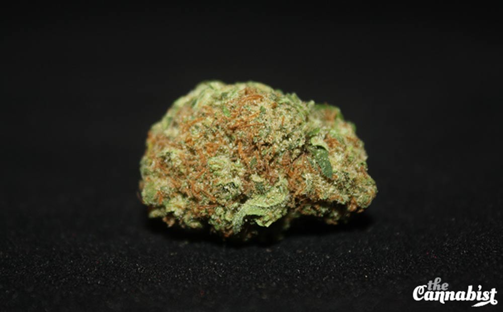 cannabist's tweet photo. New strain review: H2 gave our reviewer "confident happiness and energy... without becoming lost in the head high" https://t.co/BAIemb6jHI https://t.co/eVnhY01B7G