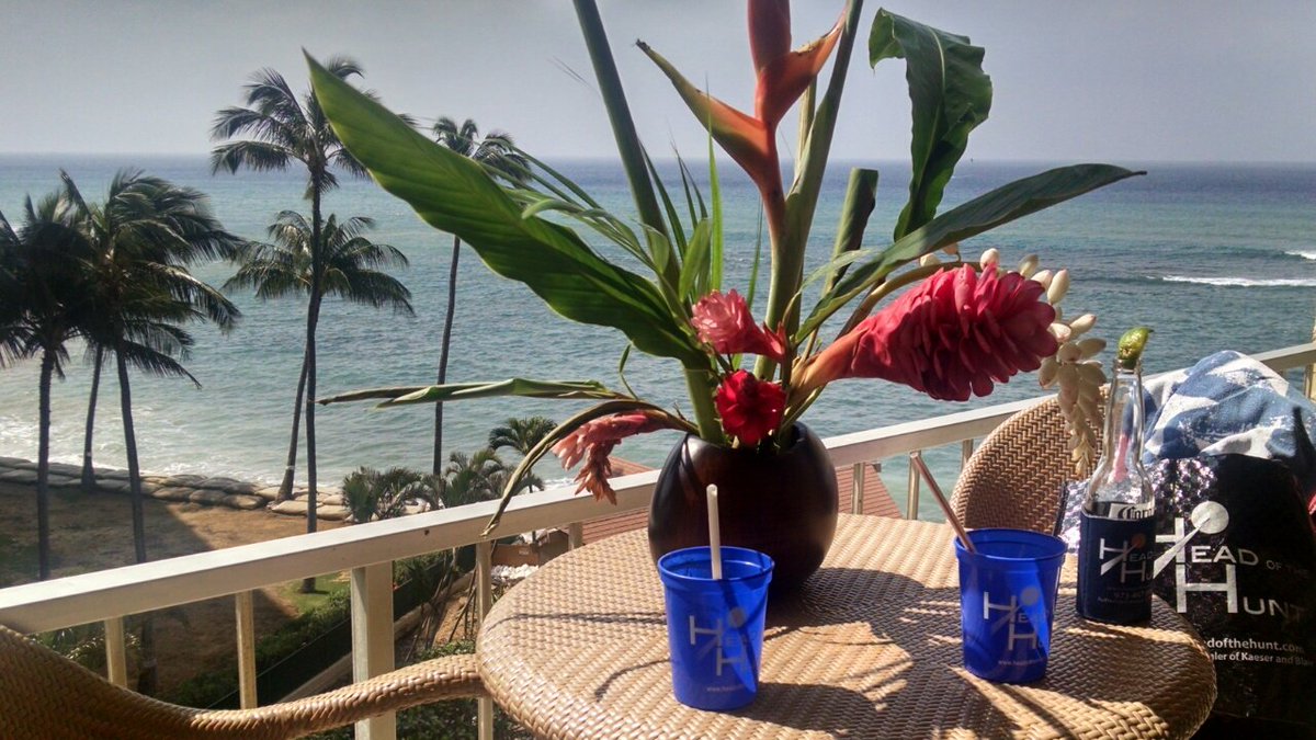headofthehunt's tweet photo. #Exposure #branding Just in from a client visiting #Hawaii #StadiumCup #CanCooler #totebag #BringUs #NextTime https://t.co/5bhNB2DEUd