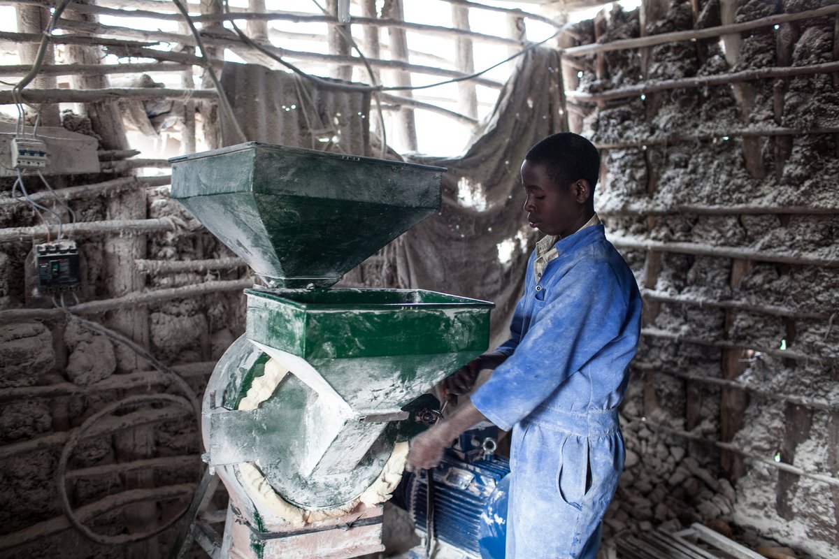 The agriculture sector has the potential to create 8 million jobs in Africa by 2020. #YAW2017