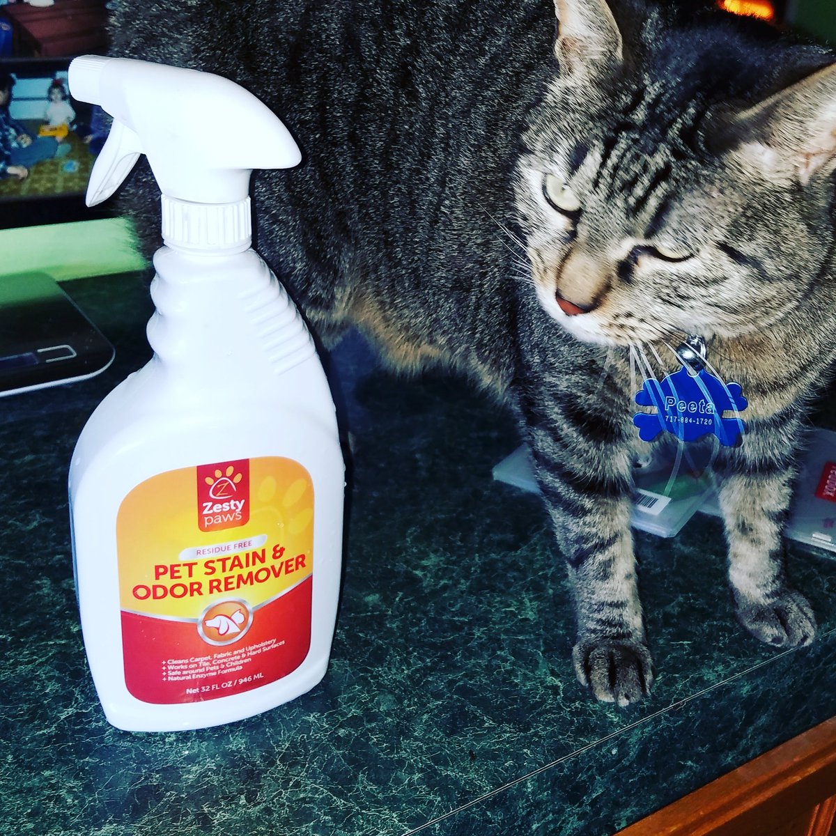 Jay2TheAmy3447's tweet photo. #Zenwise #PetStainOdorAndStainRemover. Leaves a fresh scent while elimination stains in carpets and furniture.https://t.co/FnFqAL8rF5 https://t.co/IHS7TXHfgg