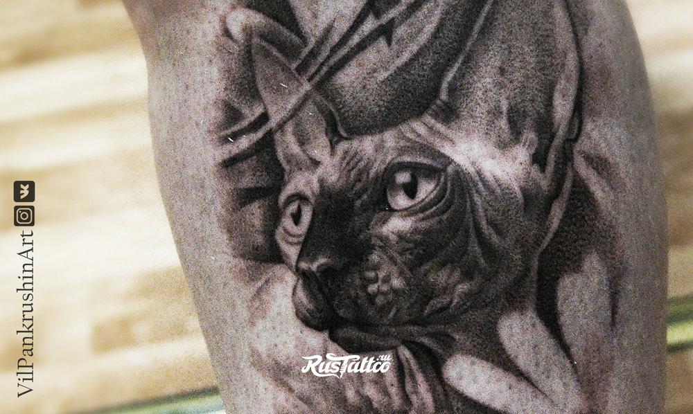 Тату кошки сфинкс. Тату кошки сфинкс. Сфинкс тату дотворк. Кот сфинкс тату. Тату кошки сфинкс.