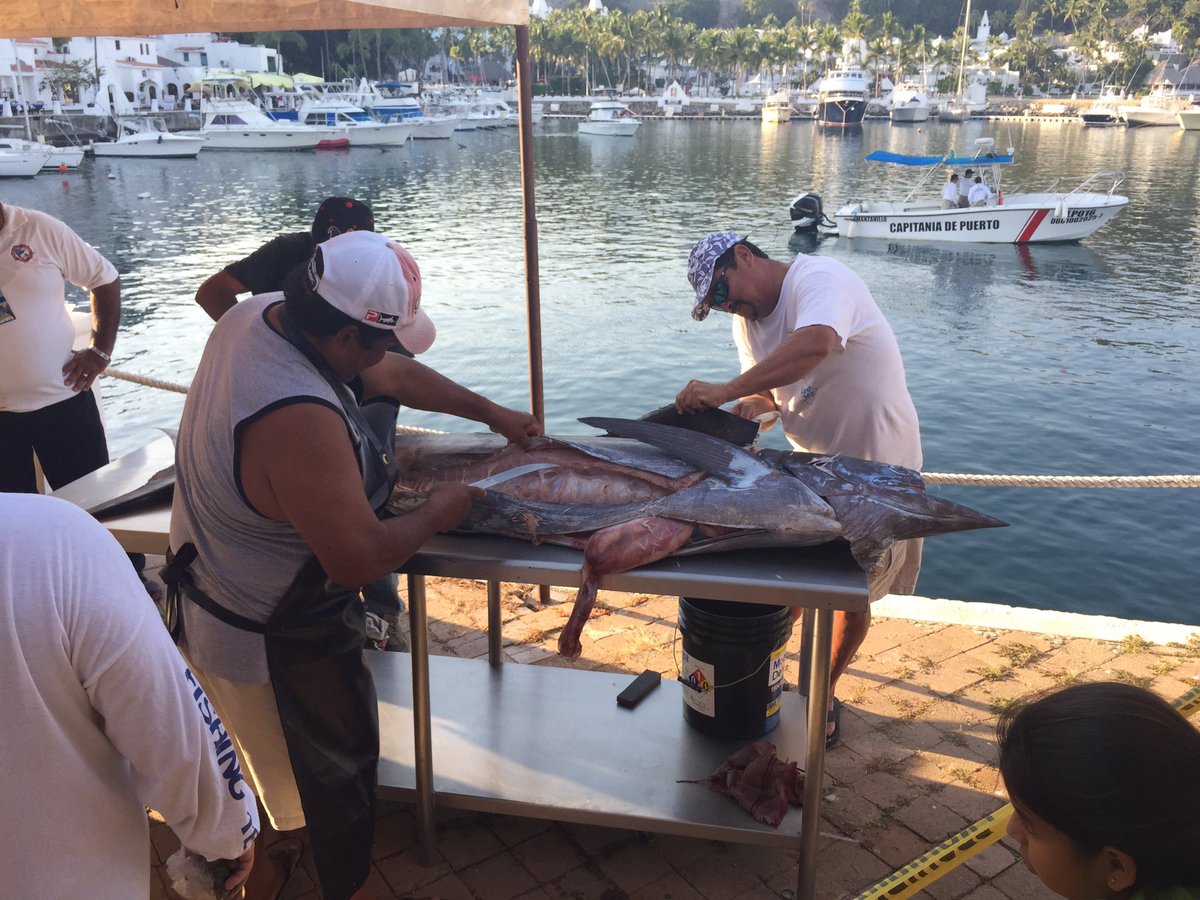 lubpoint's tweet photo. Así se vivió el torneo nacional de pesca en manzanillo. https://t.co/krRy1GpCRU