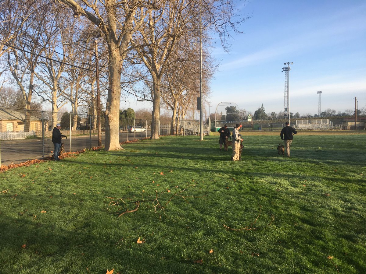 LodiPD_K9's tweet photo. Monday morning dog days with a full team! https://t.co/Ll0GKDbPHn