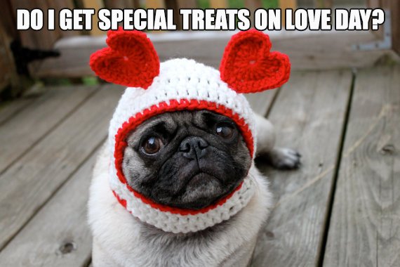 begrobly's tweet photo. #valentinesday cards #groblypets #ValentinesDay https://t.co/neI1v5dIY3