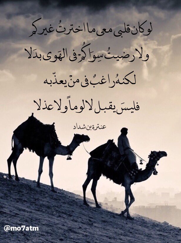 عنترة
في الحرب يقول
.
اذا التقيت الاعادي يوم معركة
تركت جمعهم المغـرور ينتهب
لي النفوس وللطير اللحوم
وللوحش العظام وللخيالة السلب
.
وفي الحب