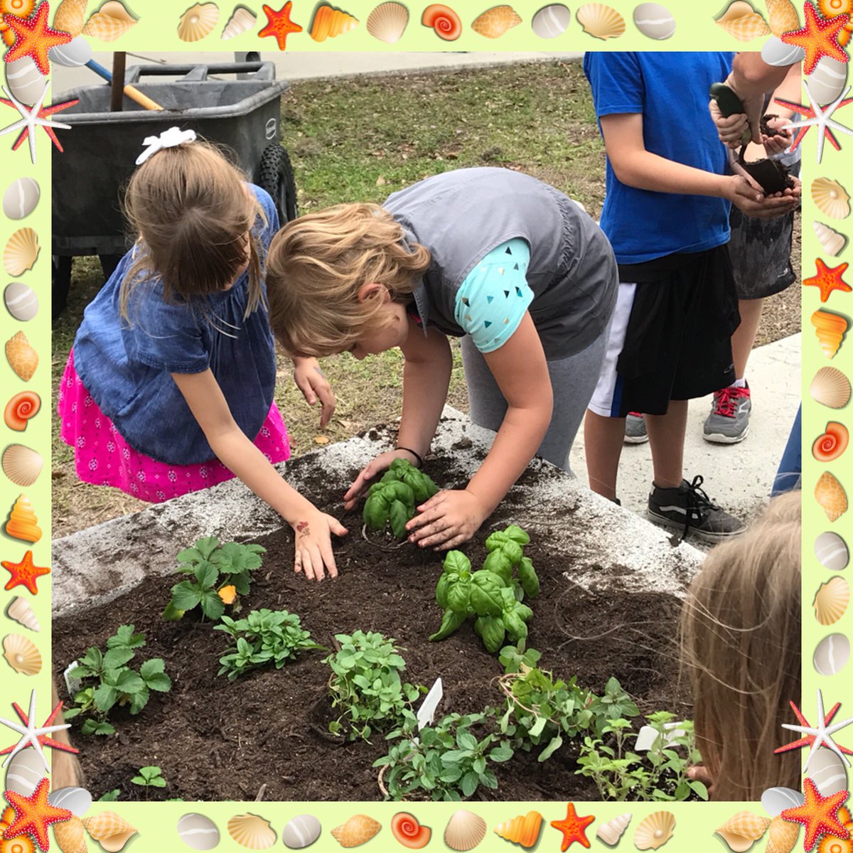FMBeachSchool's tweet photo. The FMB Garden Club and our 3rd grade students planted our outside go green garden boxes😎 https://t.co/vLZDGN2Sav