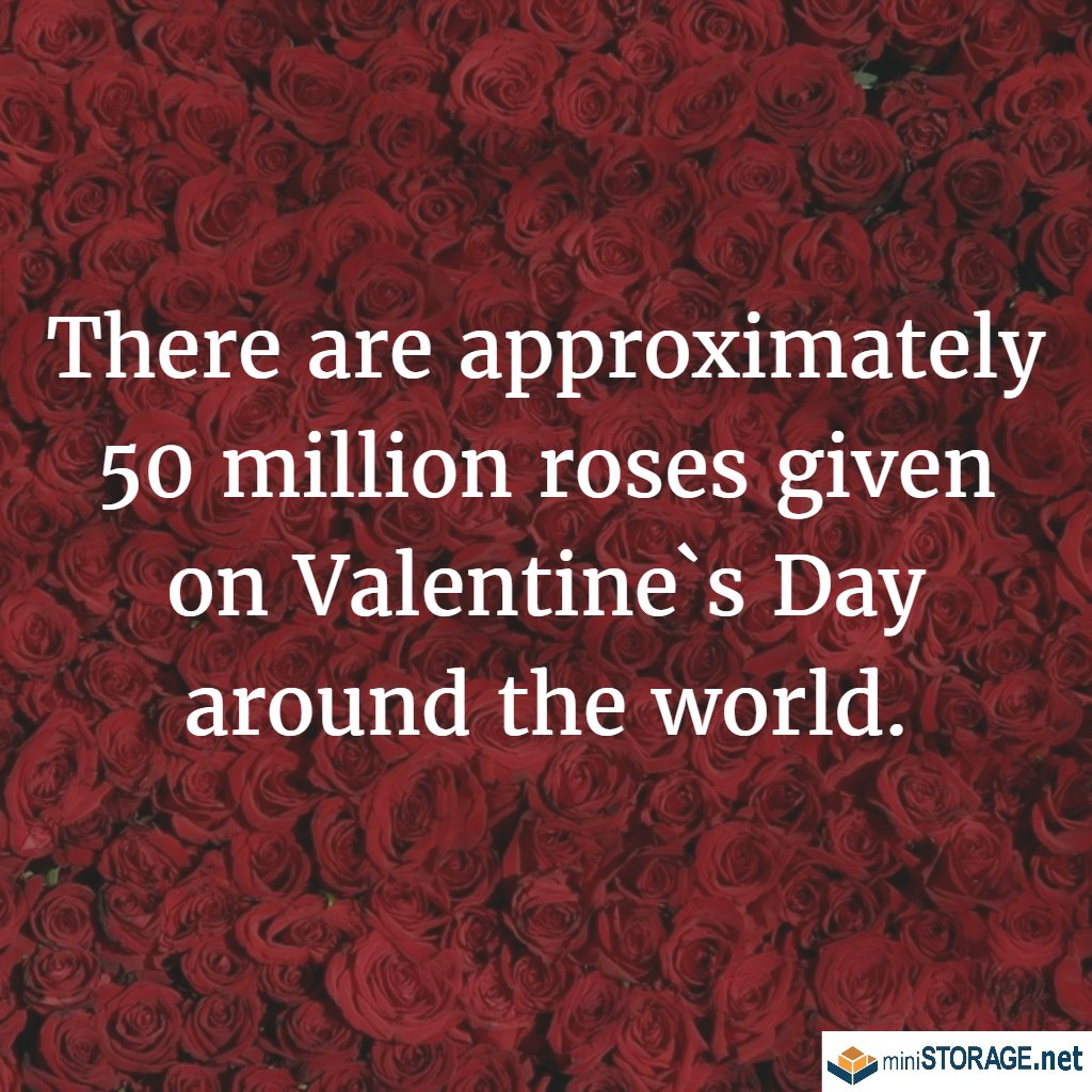 MiniStorage_LA's tweet image. #ValentinesDay is tomorrow! Here's a #FunFact: There are approximately 50 million roses given on Valentine`s Day around the world.