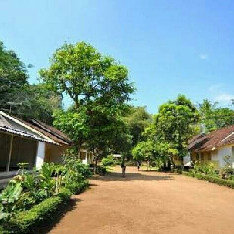 Disarka1's tweet photo. Did you miss me? I'm here! #BIGOLIVE > #Bantu naikin level sedikit lg. https://t.co/qgkzFKF6Gn https://t.co/iNnXVAutSd