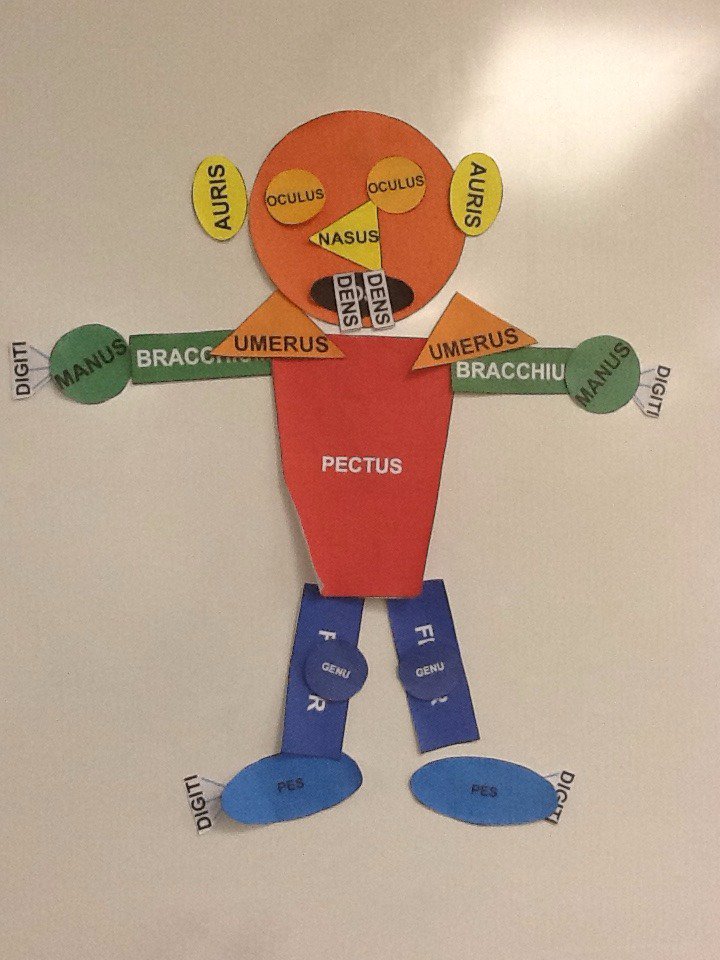 MagistraYeager's tweet photo. Using @AscaniusYCI Joe Body Parts for some quick NLE review. Latin 1 loves Iosephus Partes Corporis! #spainparkproud https://t.co/KZM8Iib7W0