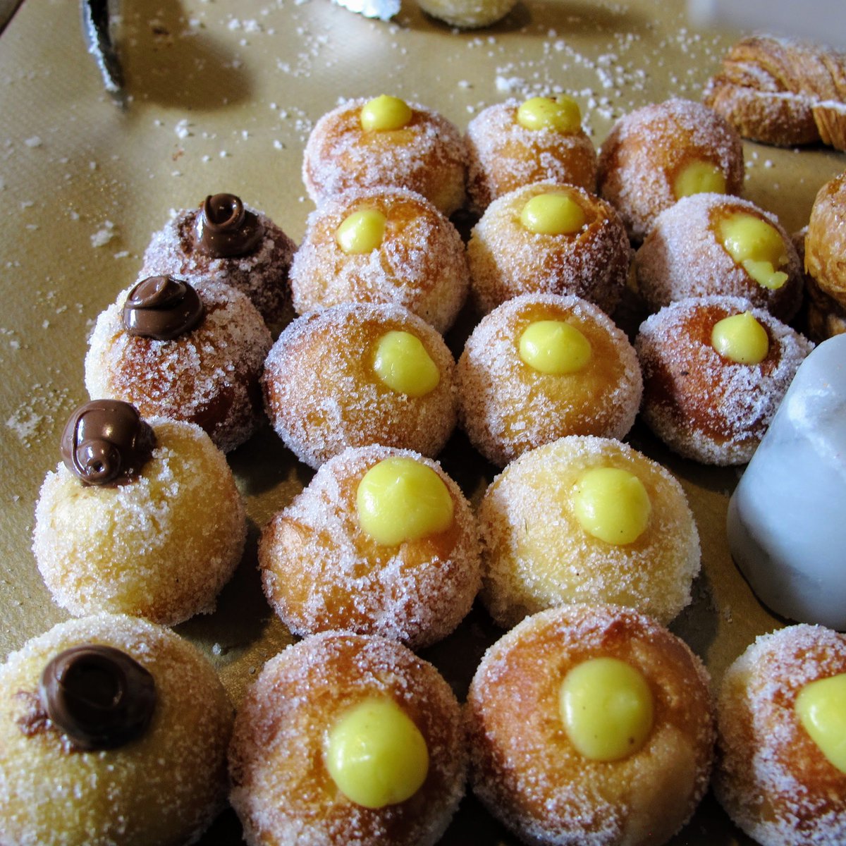 TerroniTO's tweet image. These #Bombolini are sitting #pretty.