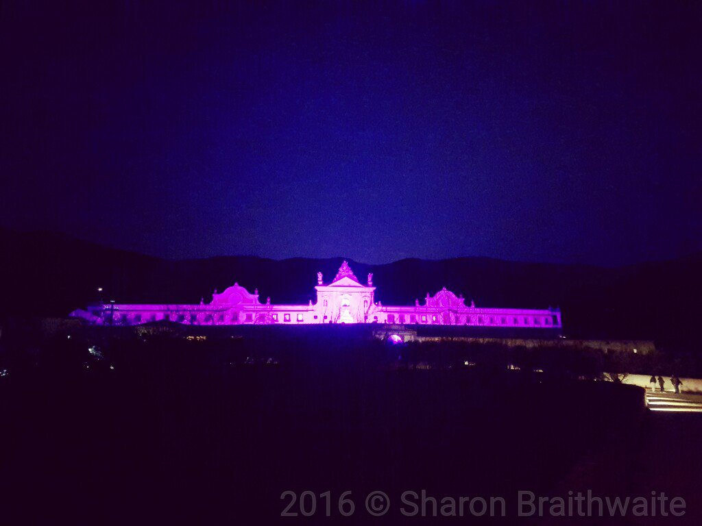 sha_braithwaite's tweet photo. Che bella la @CertosaCalci illuminata di viola per la giornata mondiale dell'epilessia. @msncalci #Pisa https://t.co/bZWuUybdt3