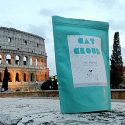 CoffeeInRome's tweet photo. An amazing coffee from Cat &amp; Cloud (Santa Cruz, CA) @catcloudcoffee in Rome - Review: https://t.co/kSHz23NjSO #CoffeeInRome #Espresso #Caffe https://t.co/HH5BpSzRh4