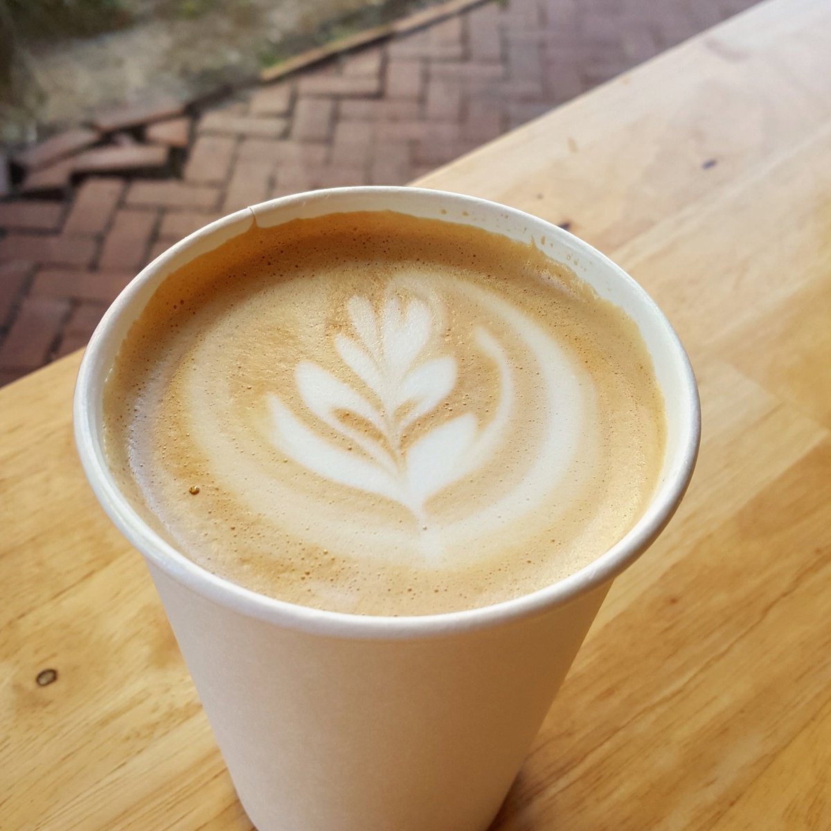 Ciara Fischer tweet media