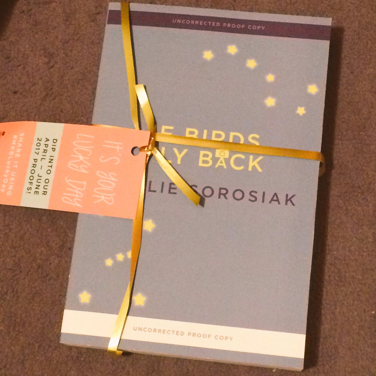 OHMYDAYSitsHayz's tweet photo. Huge thank you to @MyKindaBook for sending me a proof of #IfBirdsFlyBack @carliesorosiak !! #iloveribbon https://t.co/hhvNMKOiGP
