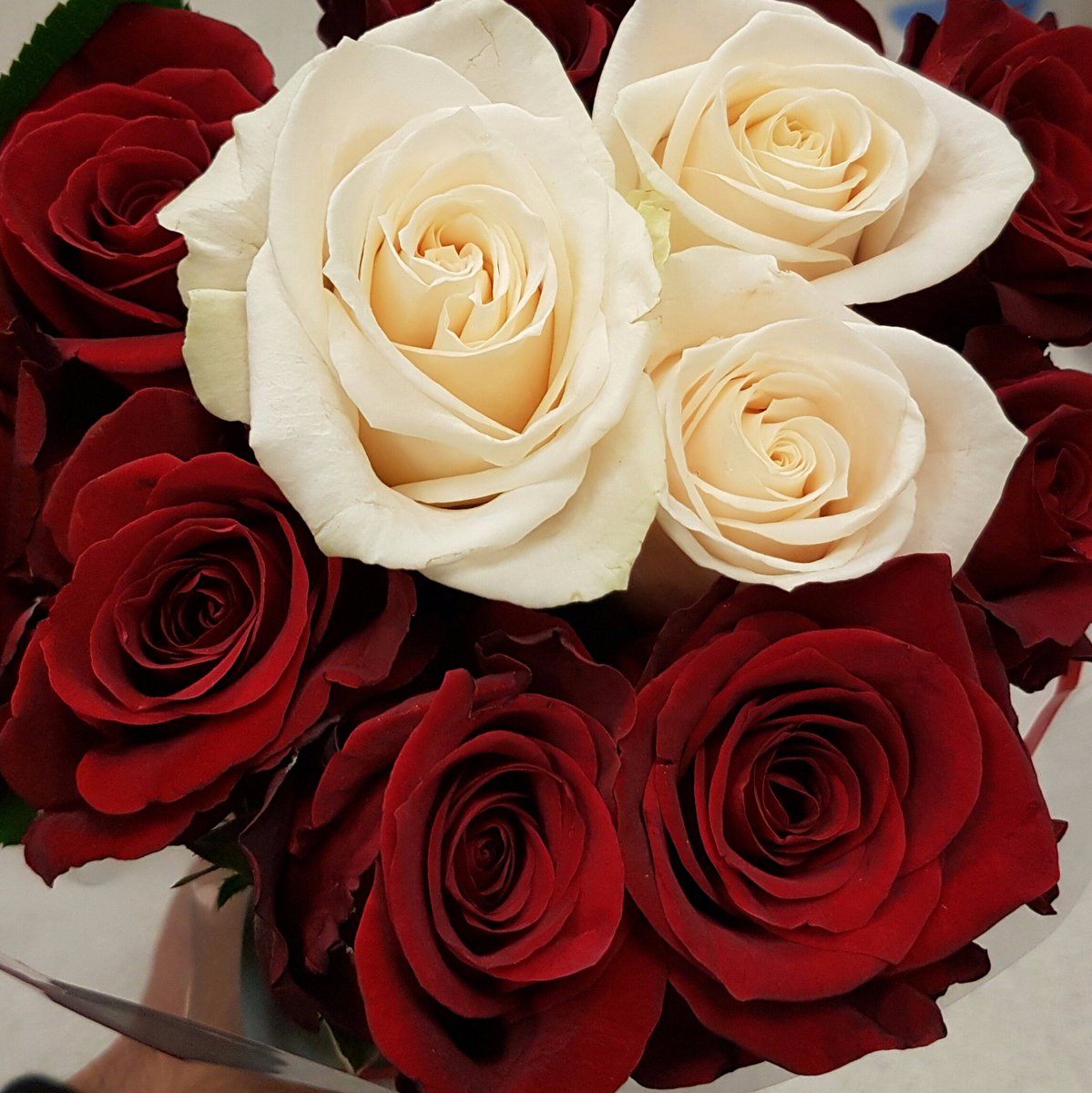 EWBBCIT's tweet photo. Roses are Red
Violets are Blue
We've got Fair Trade Roses For You https://t.co/Jo0TPTVYUd