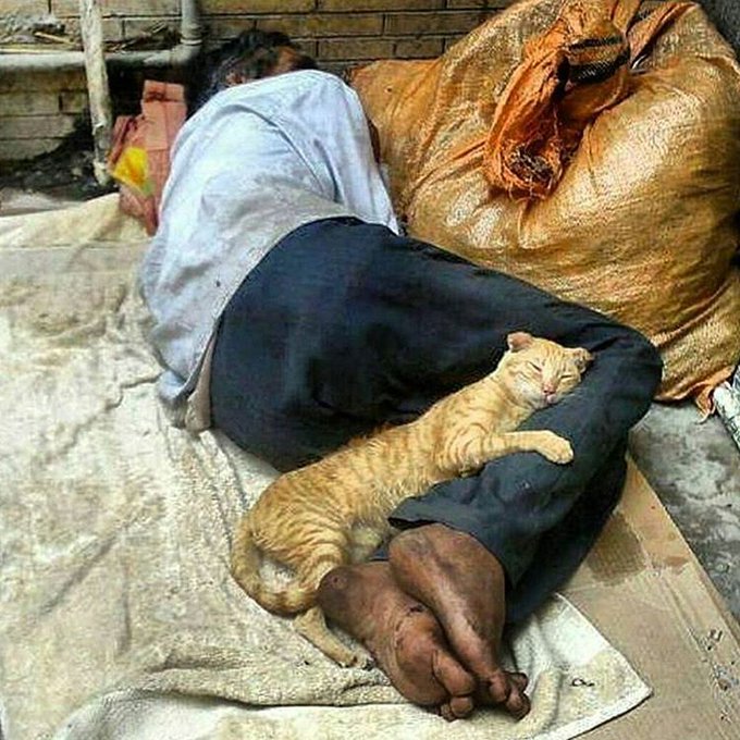 رغم الفقر تشعر بالحنان