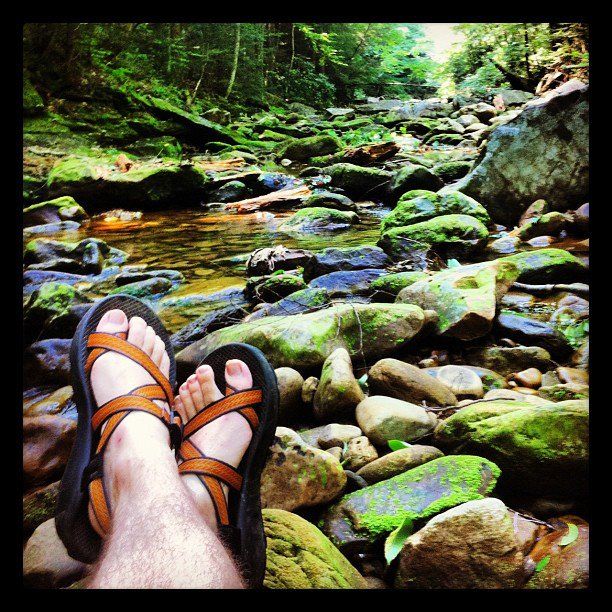 BORMonumentWV's tweet photo. #publiclands &amp; #cleanwater is why #WV's nickname is "Wild and Wonderful."  Let's keep it that way! https://t.co/9d0bklZ2PY https://t.co/L8xxArZmpn