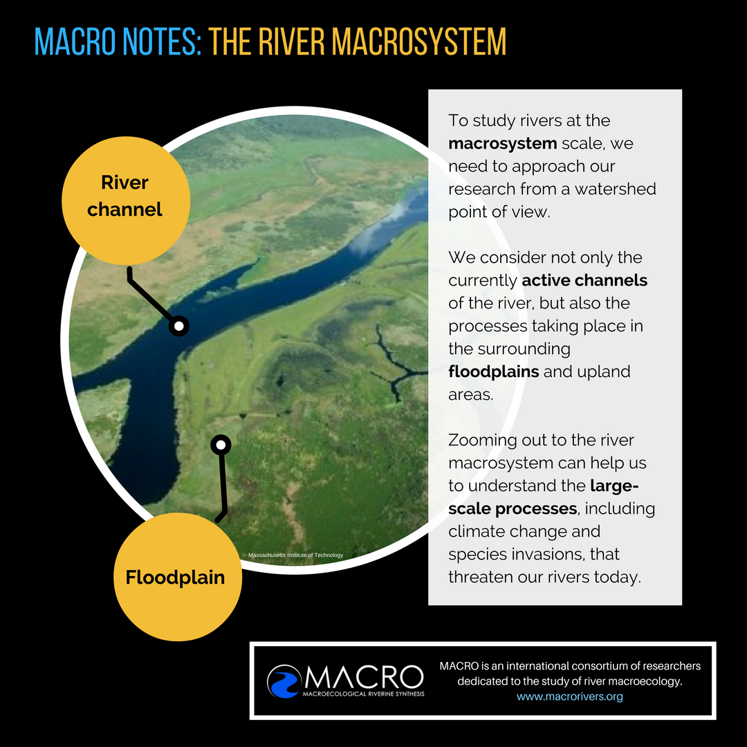 macrorivers's tweet photo. What exactly is a #river #macrosystem? Learn more about our int'l #research project w/ new educational infographic series, #MacroNotes. https://t.co/PAzUDg4kQE
