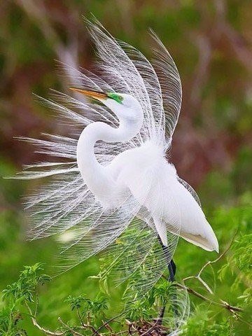 Катя (@zeitamekusor) on Twitter photo 