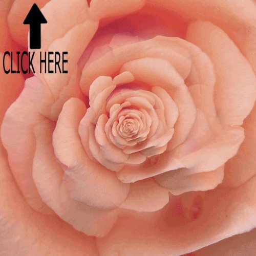 ASMR_HYPNOSIS's tweet image. BEST ASMR TRIGGERS FOR SLEEP WITH RELAXING VISUALS #1
youtube.com/watch?v=LjjtUg…