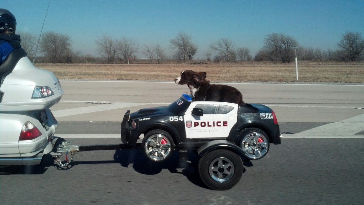 Attention, #NJ drivers! Move over when you see this guy comin!