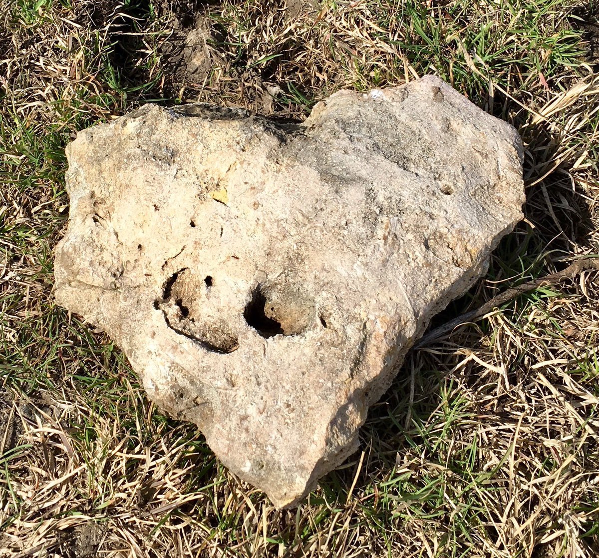 hminternational's tweet photo. RT @WeekendCowgirl: Valentine farm rock find. #farmrocks https://t.co/2XxdgOjzZG