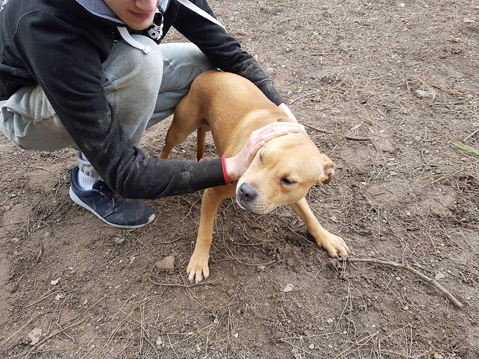 arabarbate's tweet photo. 🐶🐶YAKO🐶🐶
Macho
6 meses
Cruce de Staff
🏠Cádiz https://t.co/cNYCeU17mG
