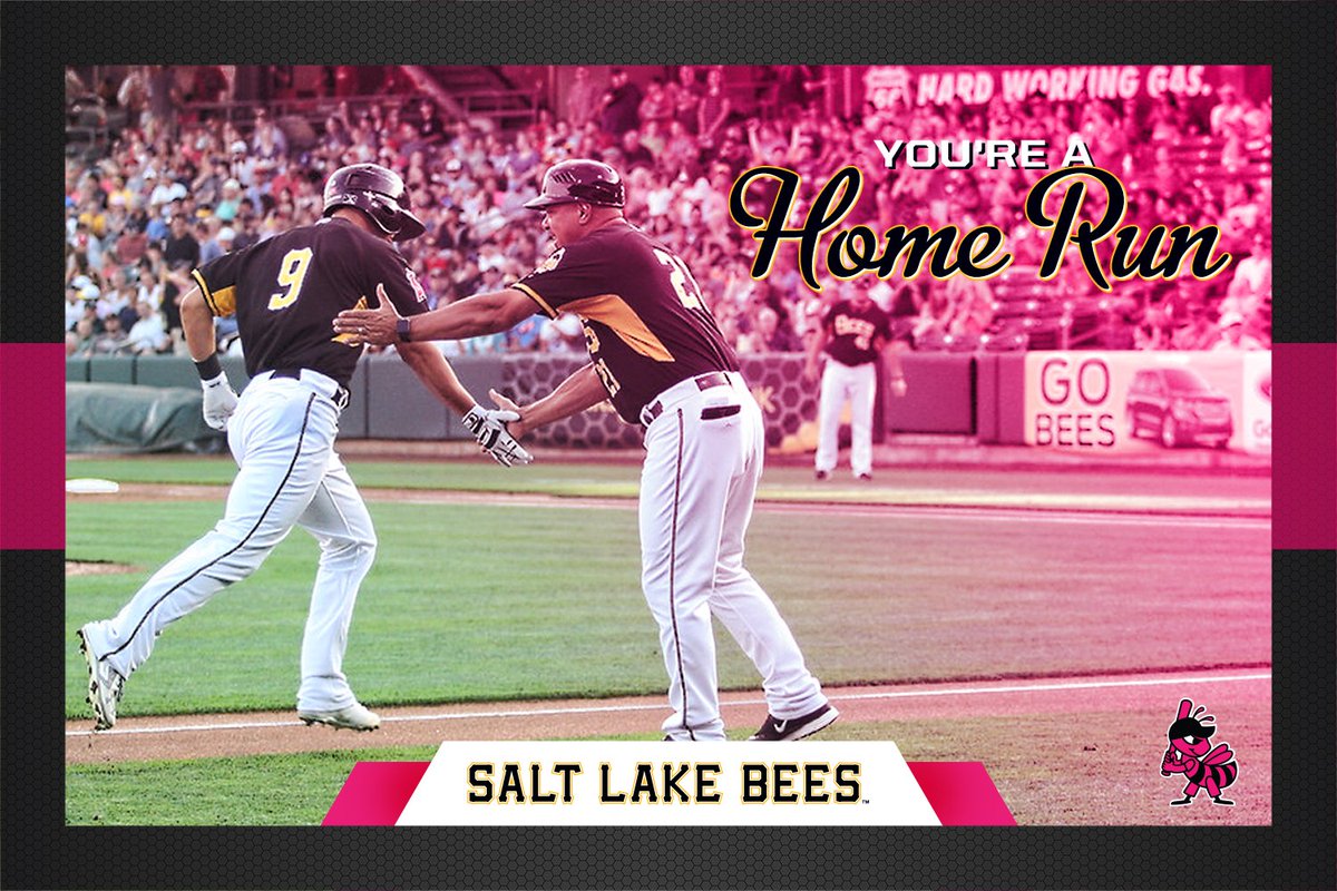 2017 Salt Lake Bees Valentine's Day collection