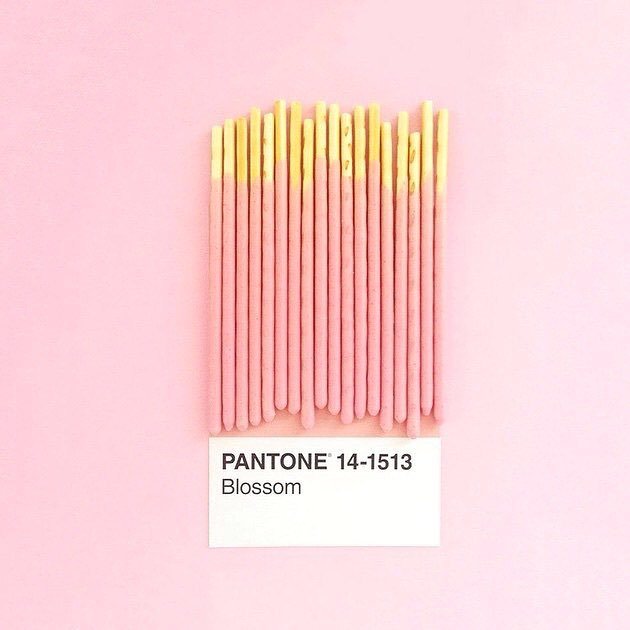 HeyPrismland's tweet photo. Our kind of pantone colour 😏🌸 https://t.co/jFcTQDXP4w https://t.co/lFGebDkfyL