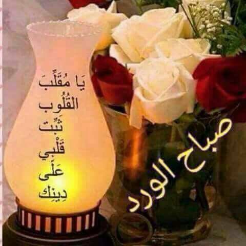 chaklatah's tweet photo. @AbujassimKuwait https://t.co/sDIkNBz8BA