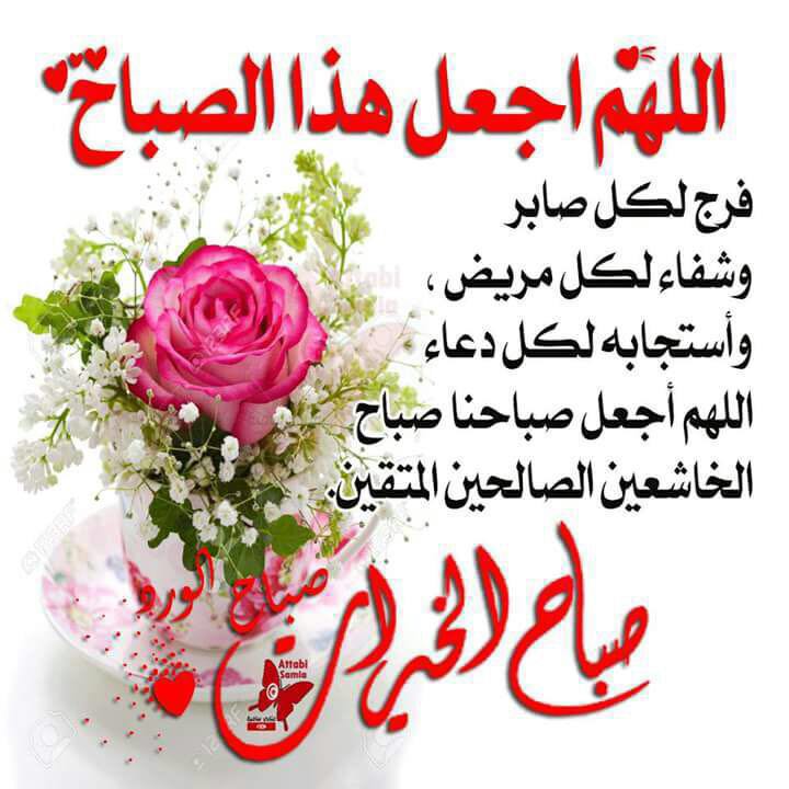 chaklatah's tweet photo. @AminaBoushehri https://t.co/6bKyACXemw