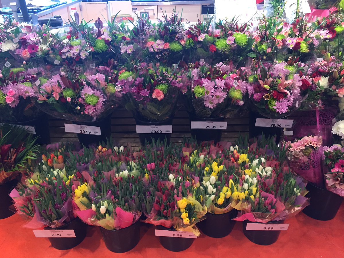 Loblaws Flowers Best Flower Site