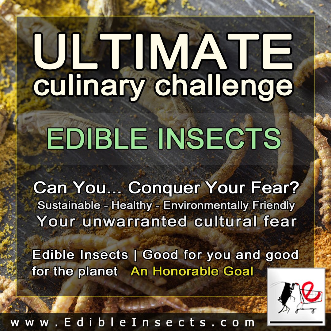 BugsForDinner's tweet photo. Reward: They taste great. A completely new culinary experience
https://t.co/P3uVMsFoKL
#EdibleInsects #EdibleBugs #CulinaryChallenge #Insect https://t.co/3bSjYLzOh8