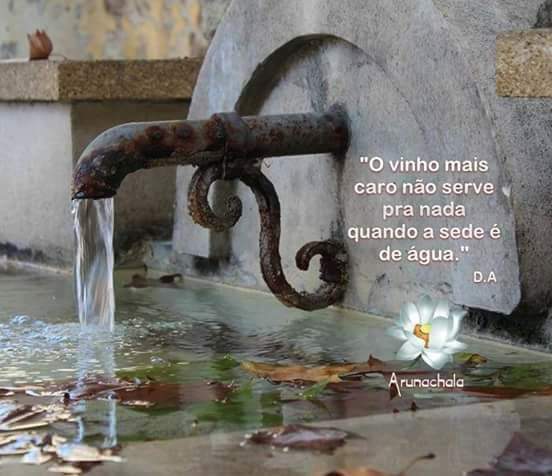 Beltemiller Tim Beta (@beltemiller) on Twitter photo 