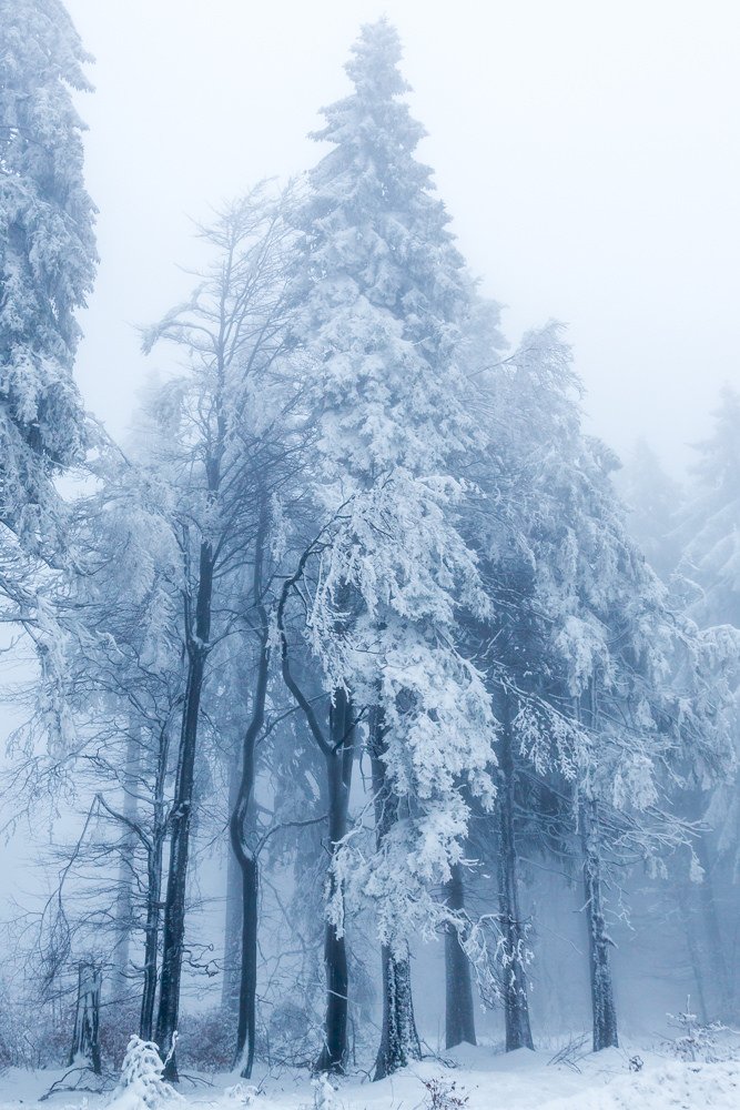 092SNOW_'s tweet photo. Q.Neve
Pq o mundo é tão cruel... https://t.co/WH44Sg1Kxa