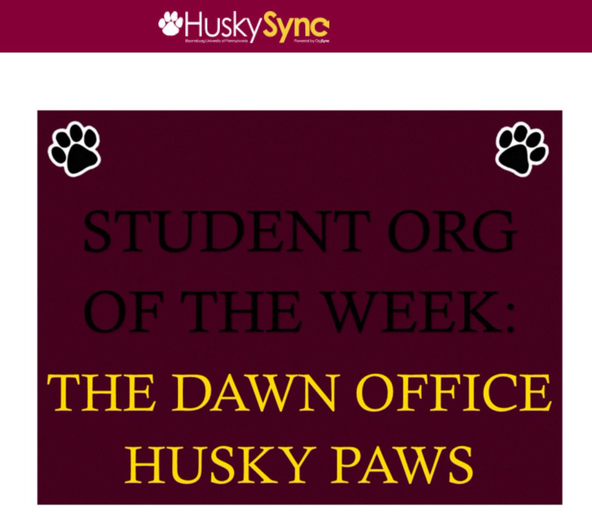 Thank you HuskySync for naming us student organization of the week! #huskypaws #huskypride 🐾