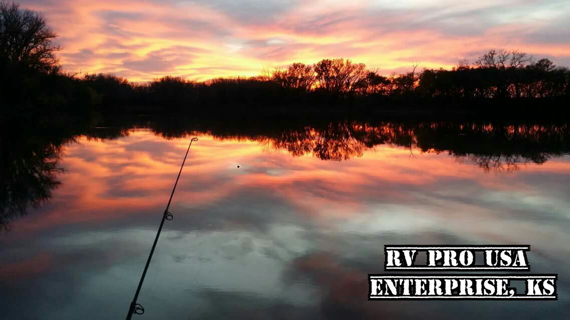 RVPROUSA's tweet photo. The cats start biting at sundown...;-) https://t.co/0zIgPQCUaX