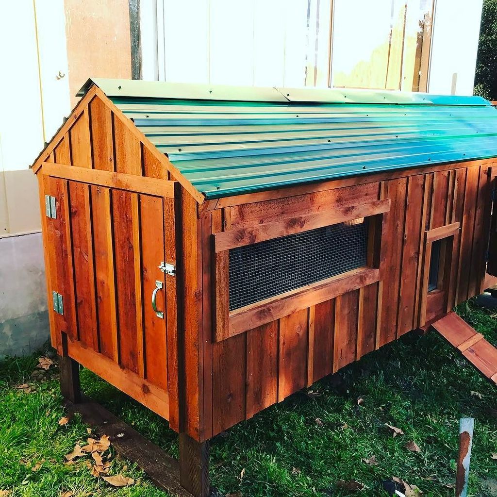 PaulRarePoultry's tweet photo. #coop #cleanoutdoor https://t.co/omyxtLgdaT