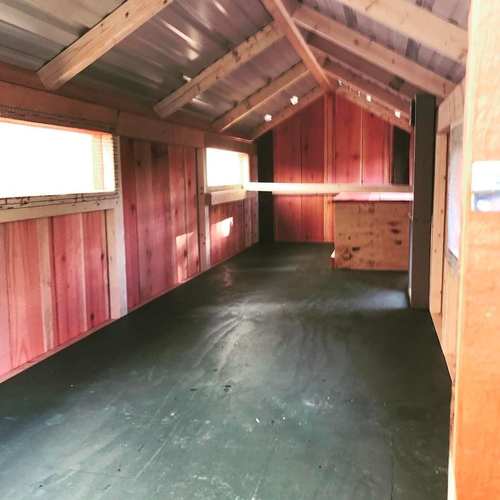 PaulRarePoultry's tweet photo. #cleanoutdoor #coop #eggboxes #roost https://t.co/1XFtvYJ1Lw